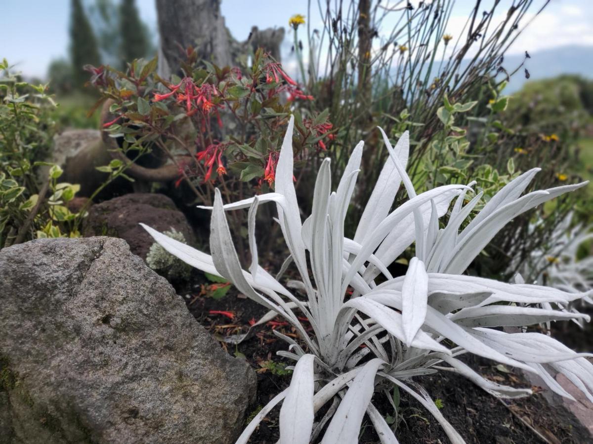 Balcon Al Cotopaxi Hosteria Sangolqui ภายนอก รูปภาพ